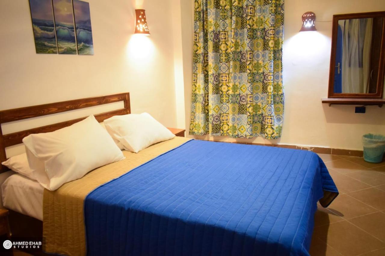 Sea Horse Hotel דהב מראה חיצוני תמונה