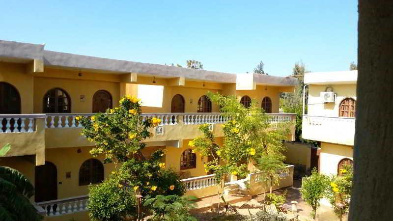 Sea Horse Hotel דהב מראה חיצוני תמונה